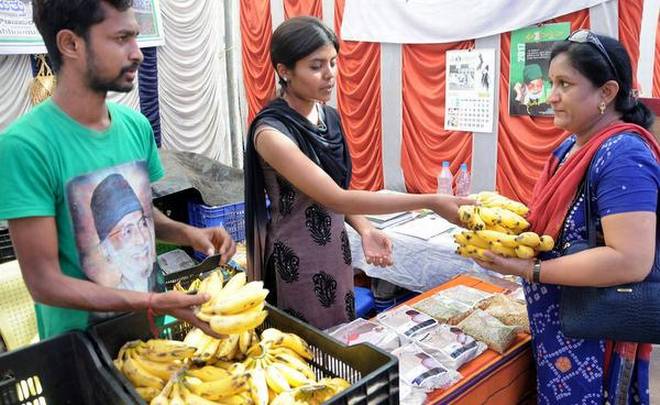 Abhilash and Tanuja, children of farmers, explaining about organic bananas to a visitor at an exhibition organised as part of Bahuroopi international multilingual theatre festival.